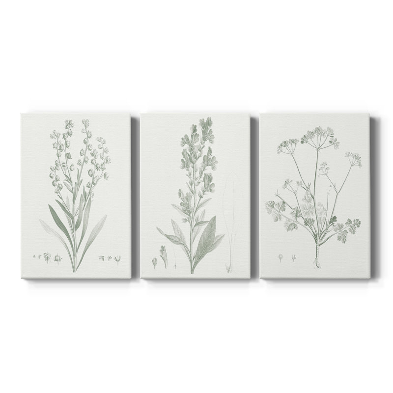 Botanical Study in Sage I - Toile tendue avec châssis sur mesure - 3 pièces, H 48 po x l 96 po
