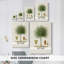 Arbre antique avec cavas enveloppés d'une galerie de fruits-108843704