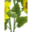 Tige de tournesol pleine floraison-1116673728