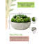 Succulent dans un pot-1268043055