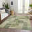 Machine Washable Indoor/Outdoor Christain ACN1261 Aloe Rug-109531752