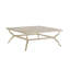 Misty Garden Cocktail Table