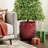 Round Indoor/Outdoor Ceramic Pot Planters-289813474