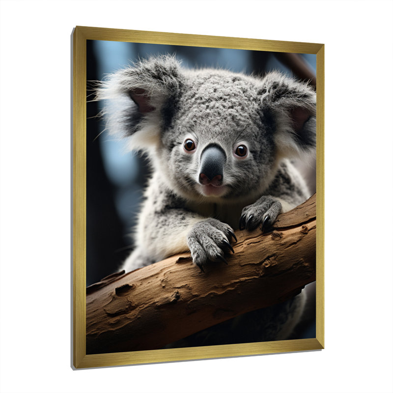 Koala Koalas Serenity - animaux, reproduction sur toile, Encadrement doré, H 32 po x l 24 po x P 1 po