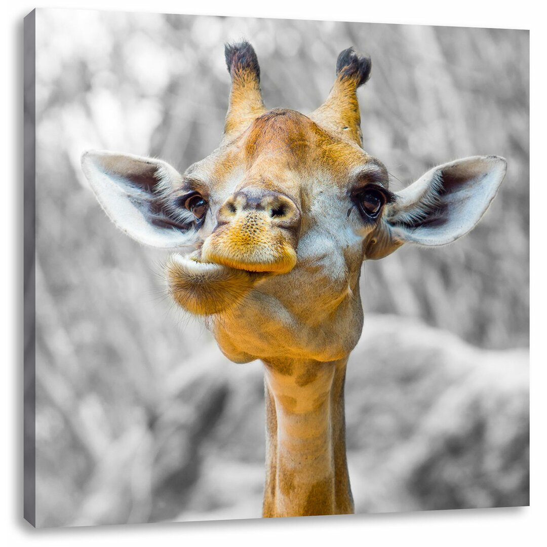 Leinwandbild Giraffe in der Natur