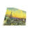 Hand-Knotted High-Quality Area Rug