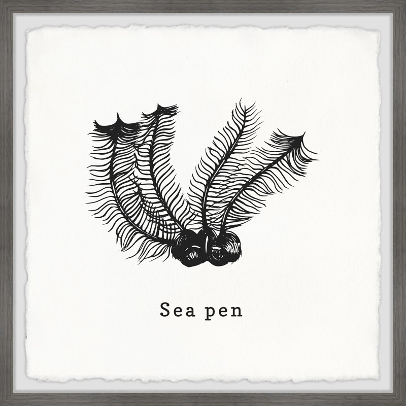 Wednesbury Sea Pen by Marmont Hill - Single Picture Frame Print