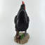 Edmonson Animals Weather Resistant Polyresin Garden Statue-953304056-953304063