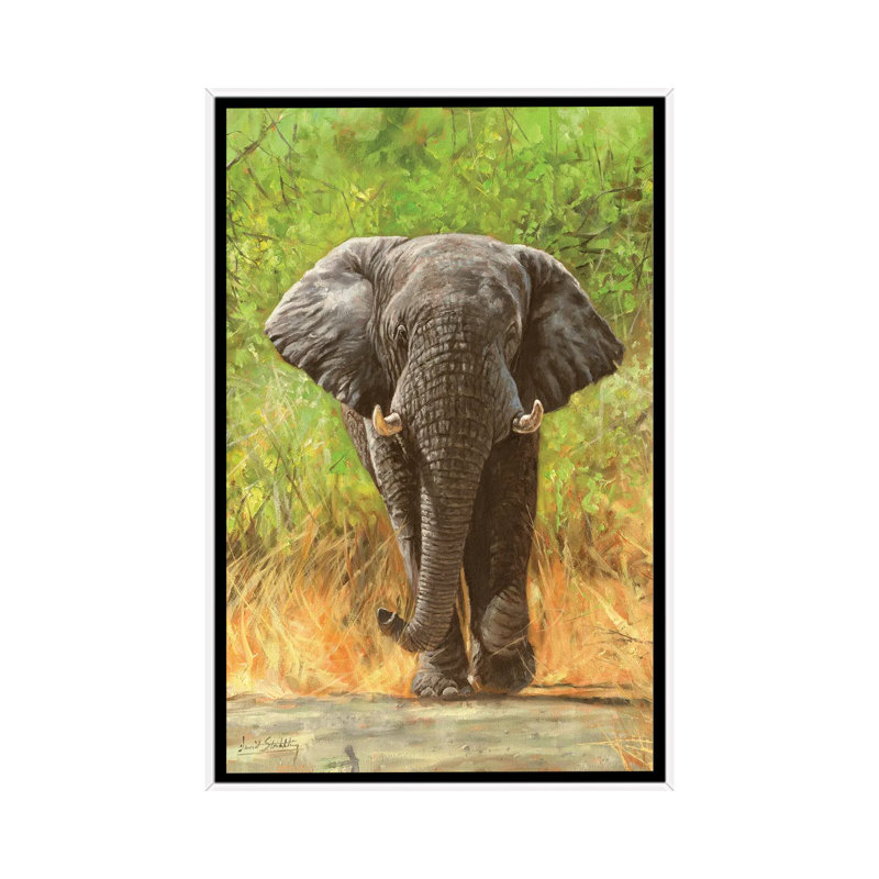 African Elephant Staredown - Print on Canvas, 66.04 cm H x 45.72 cm W, White Framed