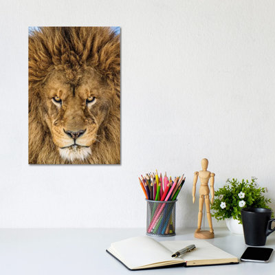 " Serious Lion " by Mike Centioli