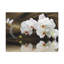 No Frame Print on Canvas-920856356