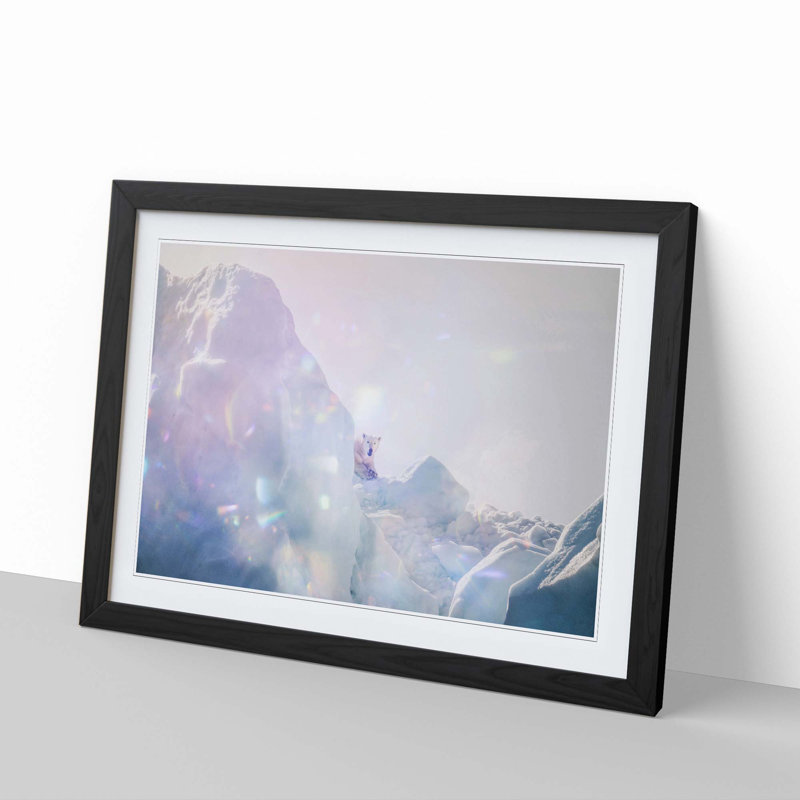 Polar Bear in the Wild - Picture Frame Photograph Print, Black Framed, 27cm H x 36cm W x 2cm D
