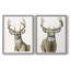 Impression encadrée Handsome Whitetail I-Premium - prête à être accrochée - aucun clou requis - aucun clou requis-405950750-405950748