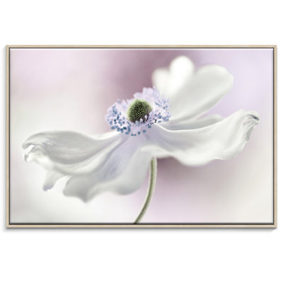 Print on Canvas
