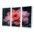 White Floater Framed Canvas selected