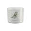 Vintage Animals Indoor Ceramic Pottery Kit