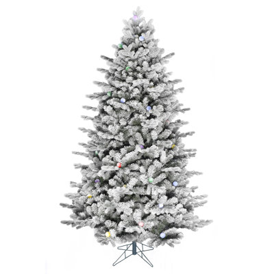 Lighted Christmas Tree