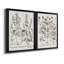 Sépia Besler Botanicals III - Ensemble de 2 reproductions de cadres photo sur toile-729651130-729651128