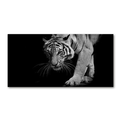 Tiger - Wrapped Canvas Print