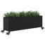 Planter Box-1729856620
