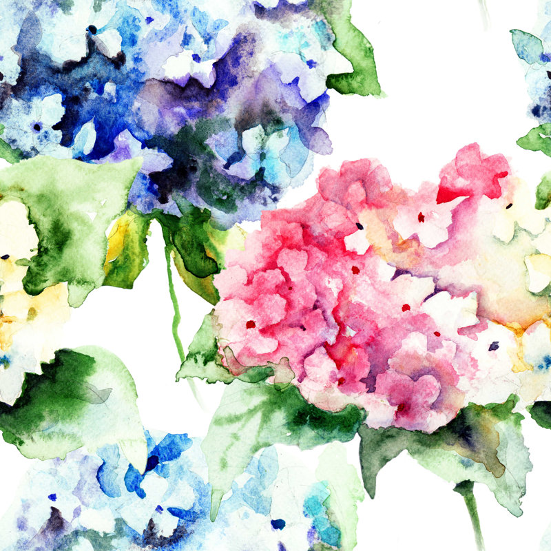 «Beautiful Hydrangea Flowers» par Ateli - peinture sur toile tendue, L 36 po x H 36 po