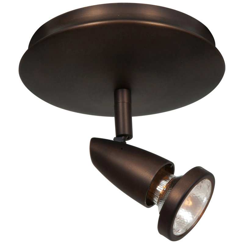 Rocheleau Outdoor Security Spot Light, Bronze