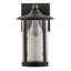 Fulton Prime 1 - Light Outdoor Wall Lantern-323194158-323194155