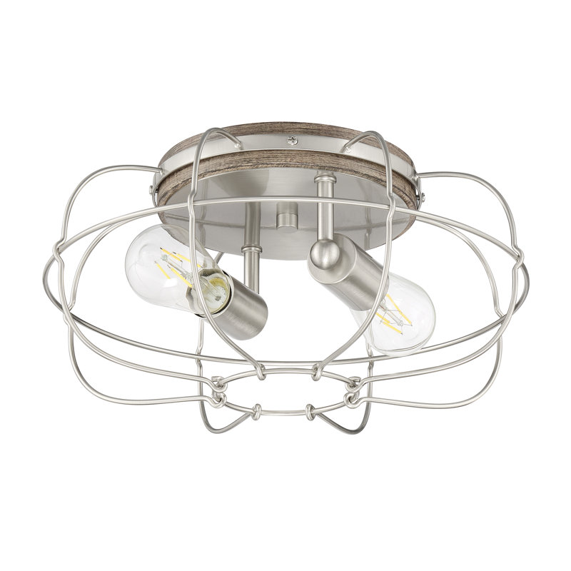 Lyam 2-Light Caged 14" W Flush Mount, Nickel
