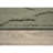 Nasturtium Indoor Rug-939993652