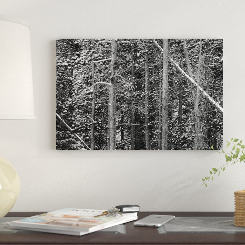 « conlines, b&w » par bill sherrell, impression sur toile tendue, H 24 po x l 32 po x P 1 po, Papier d'art encadré noir