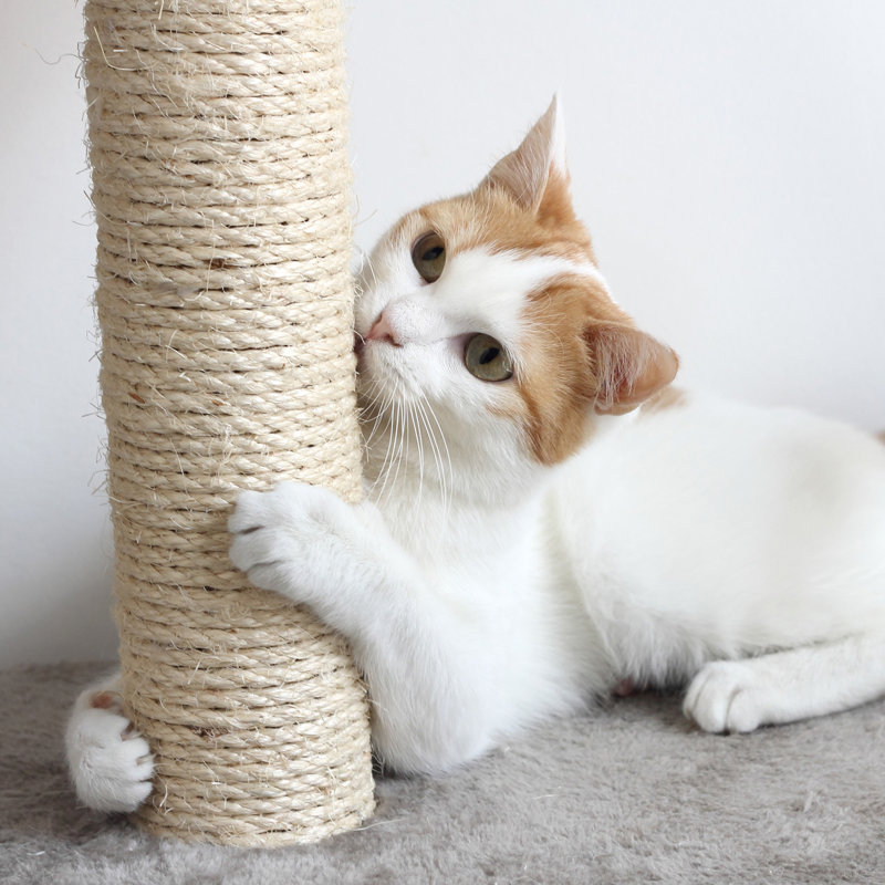 Beige 5.5-Foot 8-Tier Sisal Cat Tower with Condos and Ladder