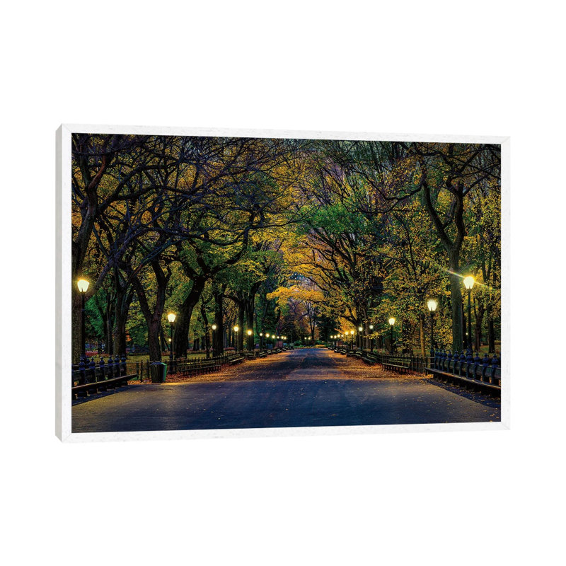 Central Park Magic by David Gardiner - Print on Canvas, 45.72cm H x 66.04cm W x 3.81cm D, White Framed