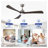 62" Modern 3-Blade Ceiling Fan with Light, Brushed Nickel DC Motor Indoor Fan with Remote Control, Reversible Solid Wood Blades for Living Room Bedroom-429775463-429775469
