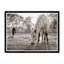 Grazing III Print by Tim Klein