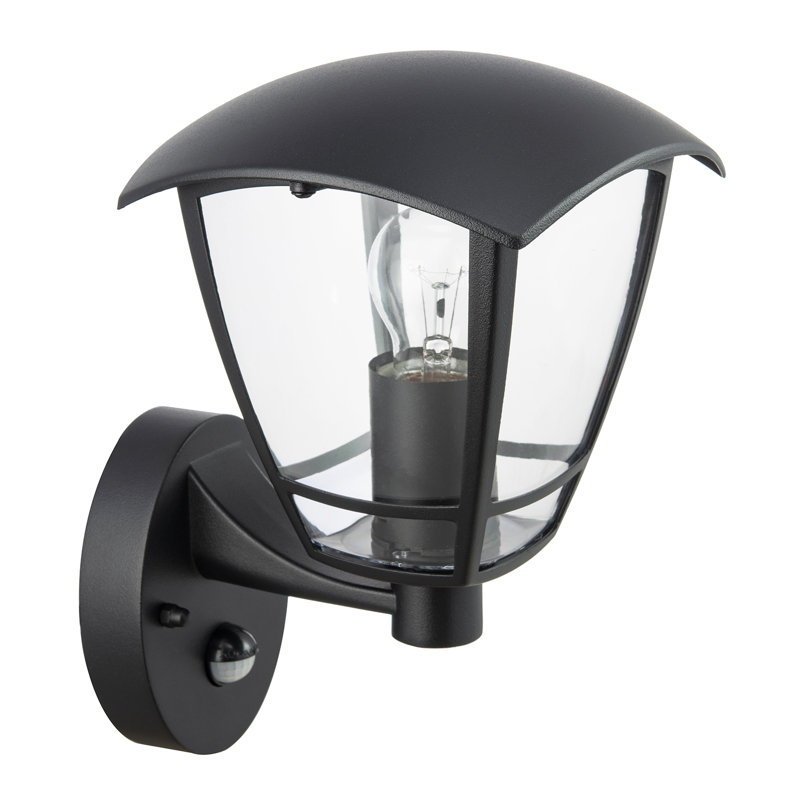 Matte 26cm H Outdoor Sconce