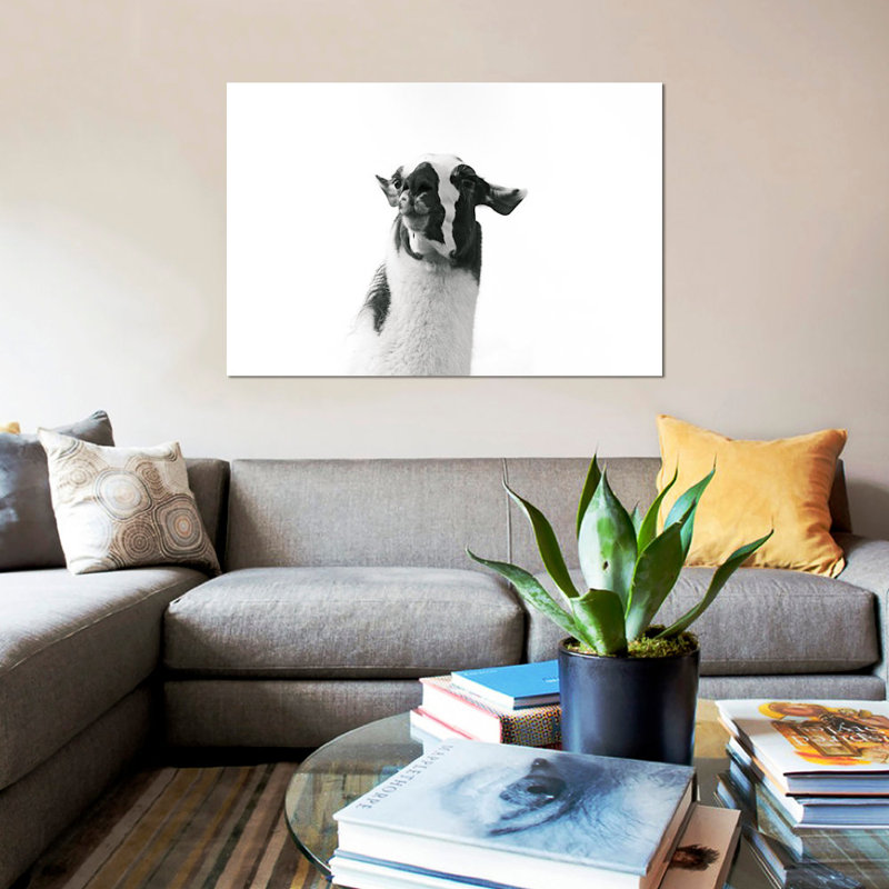 «L amovible Llama I», reproduction de photo sur toile, H 26 po x l 40 po x P 1,5 po, Toile tendue, Pas de tapis