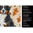 Bernese Mountain Dog Heirloom Fall Kitchen Towel-1218231167
