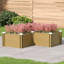 Raised Garden Bed