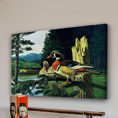 " Roosting Ducks "