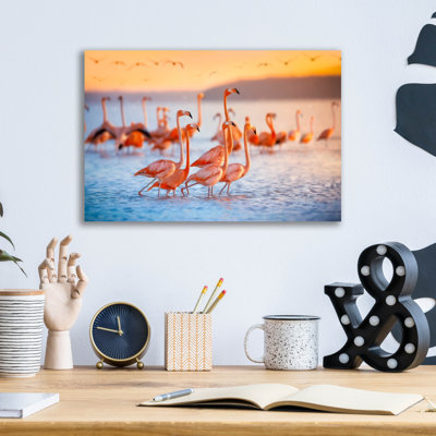 " Wading Flamingos " by Jonathan Ross