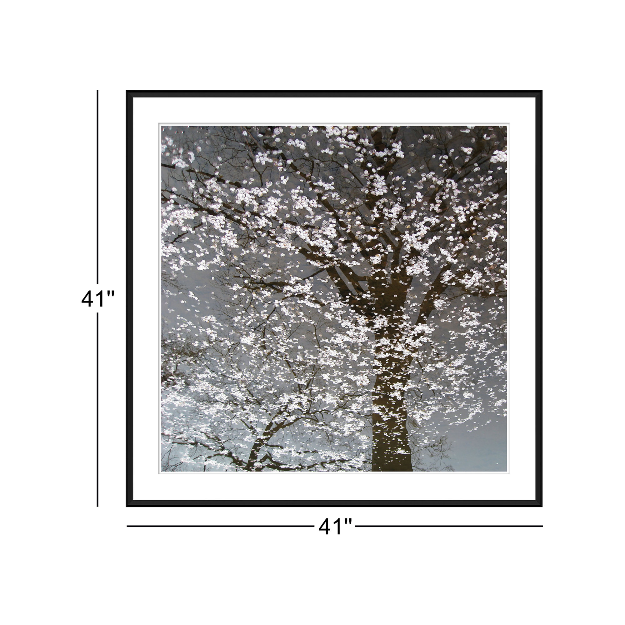 Infrared Cherry Blossoms