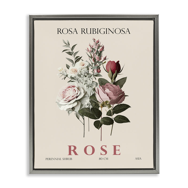 Cadre flottant Natural Rose, par Christopher Giampietro, H 21 po x l 17 po, Cadre flottant gris lustré