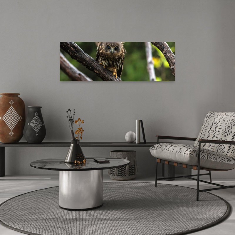 Oiseau hibou contemporain, H 12 po x l 36 po