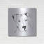«Line Dog Pitbull II» par Chris Paschke-223607274