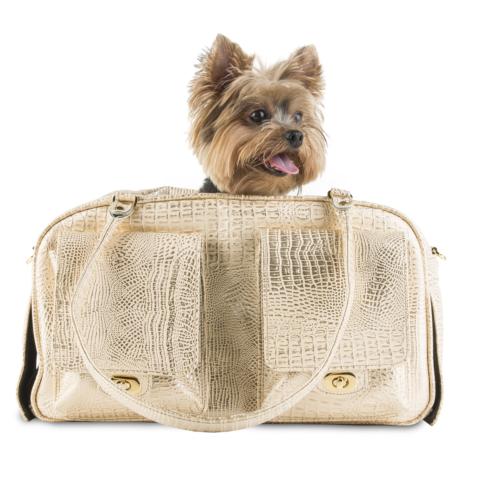 For the Posh Pet. Louis Vuitton pet carrier. Measures 16 long by