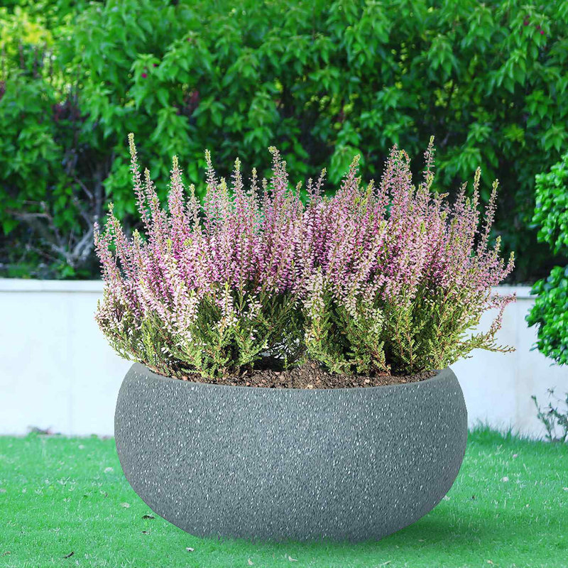 Light Concrete Bowl Planter, Frostproof Outdoor Plant Pot, Bonsai Pot, Garden Planter with Drainage Holes, Shallow Planter