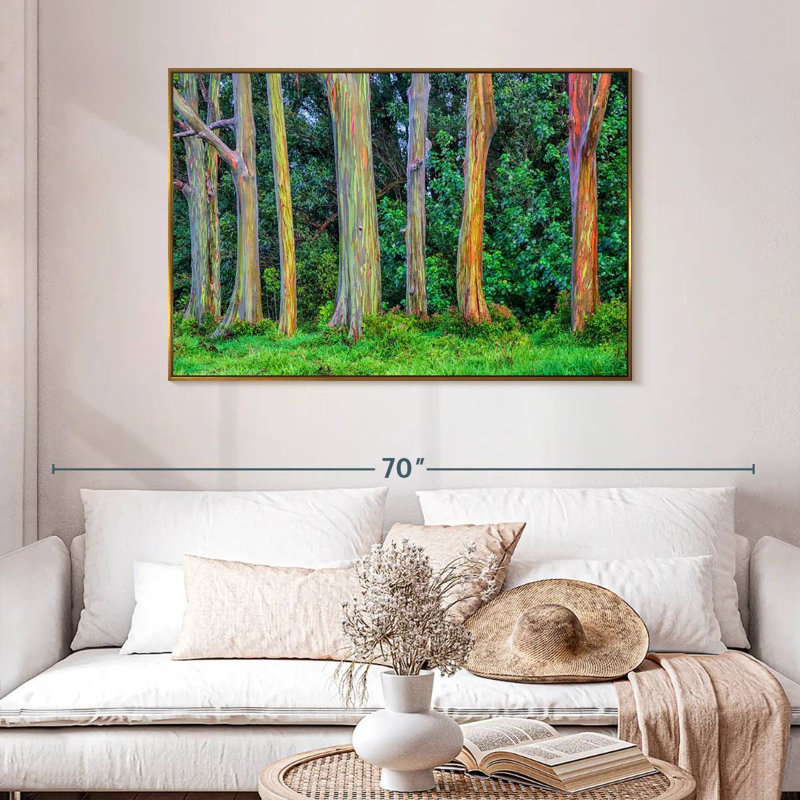 Eucalyptus arc-en-ciel, 46 po x 31 po, Cadre flottant doré