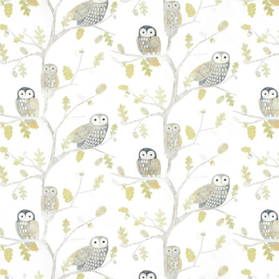 Little Owls 10.05m x 52cm Wallpaper Roll