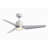 TriAire Custom Indoor/Outdoor Ceiling Fan DC Motor- Silver-43413593