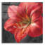  «Vivid Floral 3 C» par Danhui Nai, art mural en verre acrylique, 36 po x 36 po